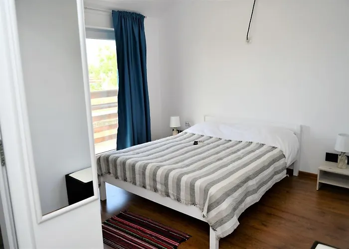 Pensionat Pensiunea Codalb 4*