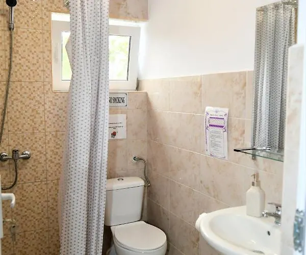 Pensionat Pensiunea Codalb 4*