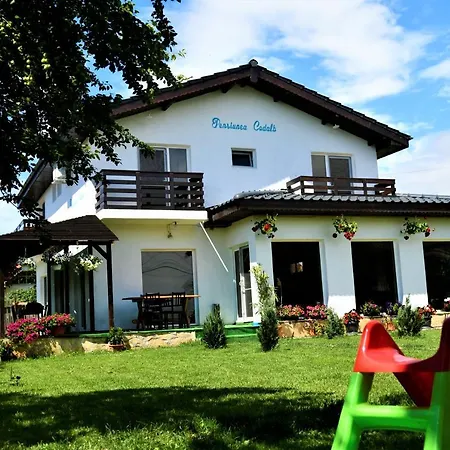 Pensiunea Codalb Guest house Jurilovca