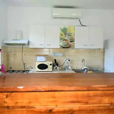 Pensiunea Codalb Guest house