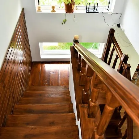 Guest house Pensiunea Codalb Jurilovca