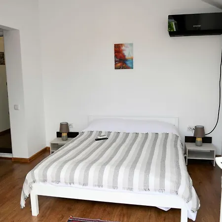 Pensiunea Codalb 4*