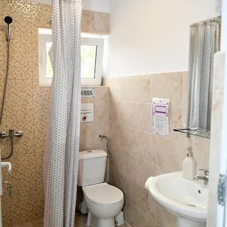 Guest house Pensiunea Codalb *