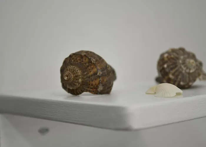 Pensiunea Codalb Pensión