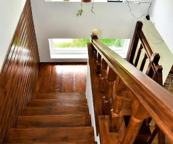 Pensión Pensiunea Codalb Jurilovca